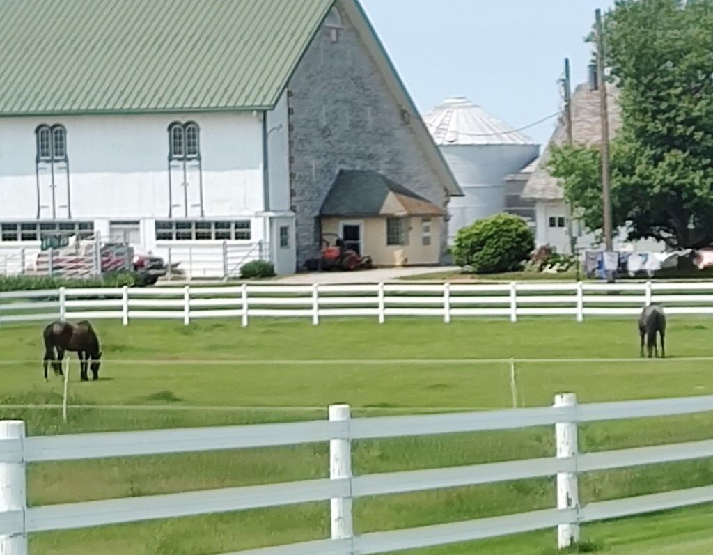 img_20250602_1413149825469355894153330675