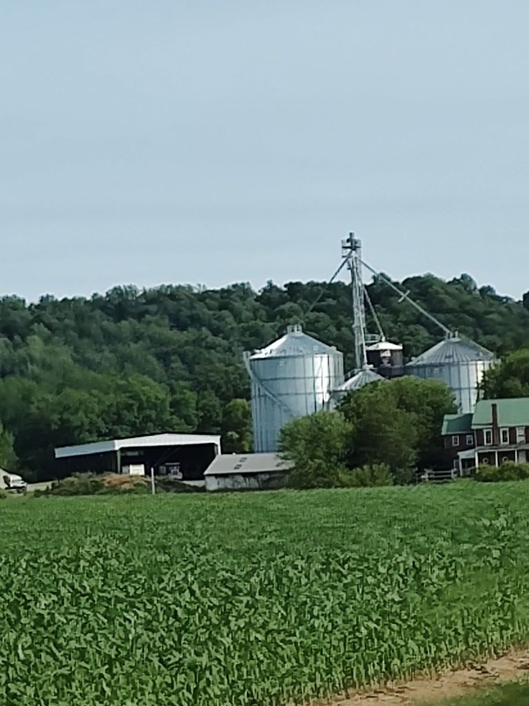 img_20250602_1727401776998120627367928009