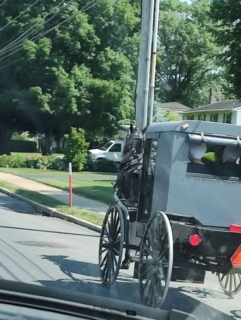 img_20250604_1508343088570610842429107650