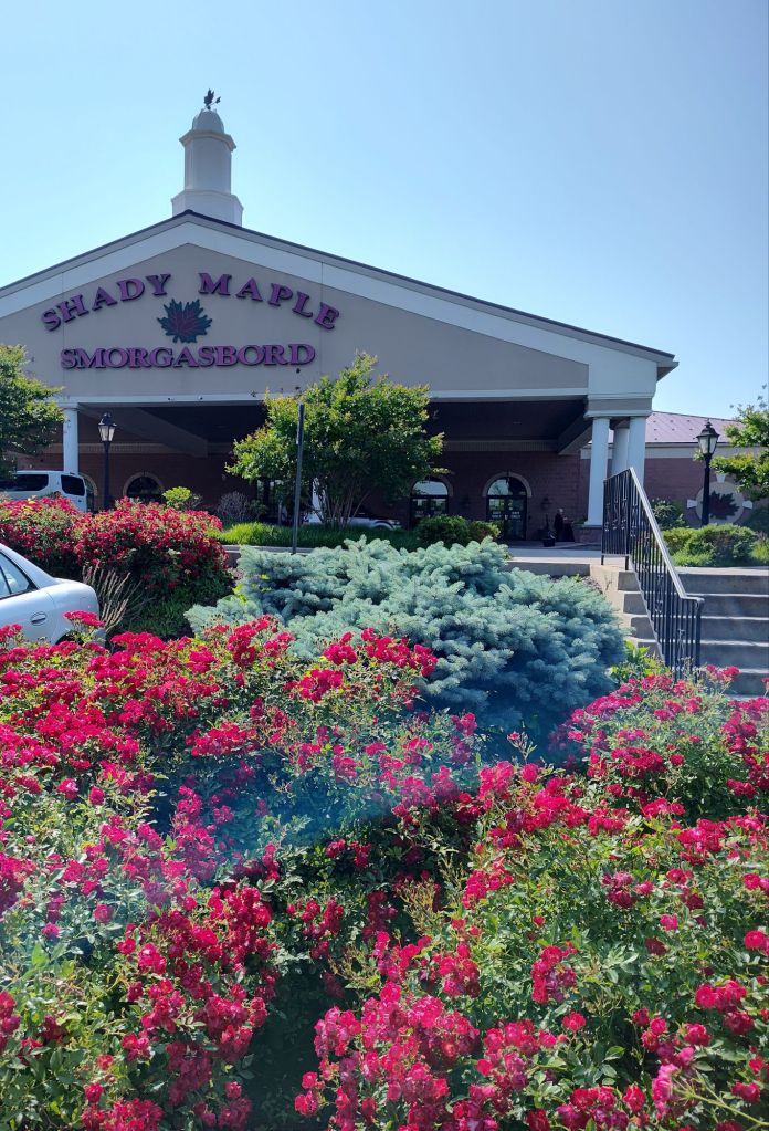 img_20250604_161309399_hdr5251323865437702288