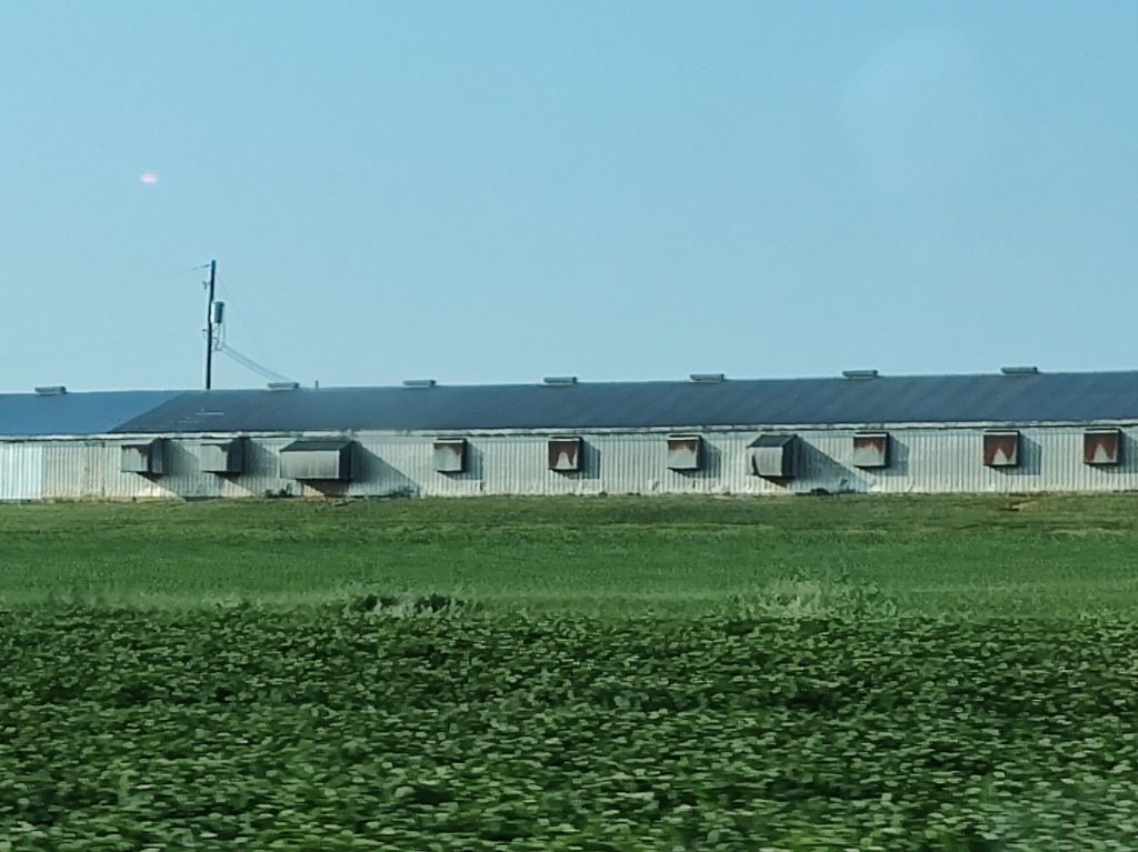 img_20250604_1817347275046879997938604588