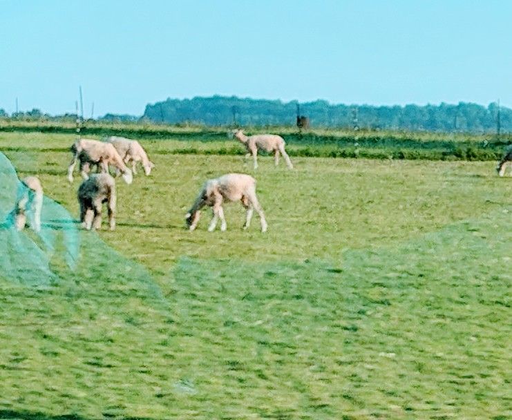 img_20250604_190408217_hdr6542726562581989566