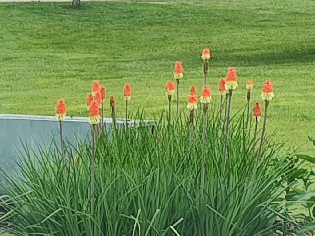 img_20250606_1301573577912211327604906334